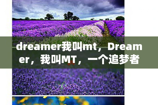 dreamer我叫mt，Dreamer，我叫MT，一个追梦者的自述