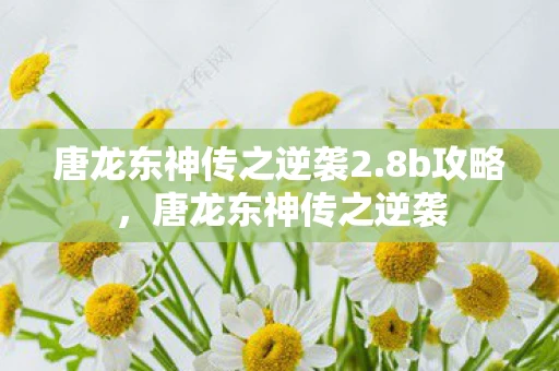 唐龙东神传之逆袭2.8b攻略，唐龙东神传之逆袭