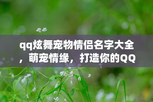 qq炫舞宠物情侣名字大全，萌宠情缘，打造你的QQ炫舞宠物情侣名字