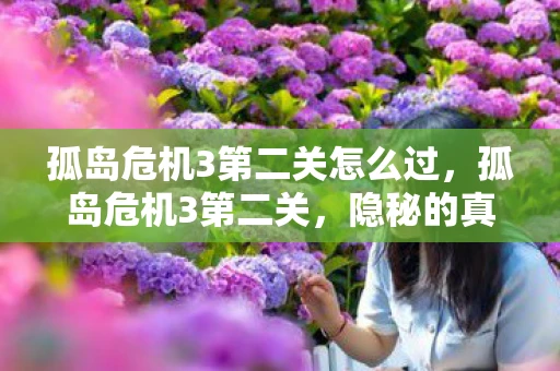 孤岛危机3第二关怎么过，孤岛危机3第二关，隐秘的真相