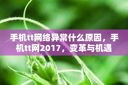 手机tt网络异常什么原因，手机tt网2017，变革与机遇并存的移动互联网时代