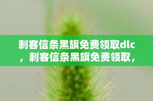 刺客信条黑旗免费领取dlc，刺客信条黑旗免费领取，重温经典海盗冒险