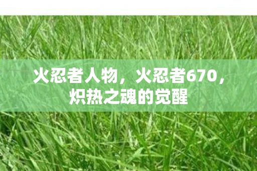 火忍者人物，火忍者670，炽热之魂的觉醒