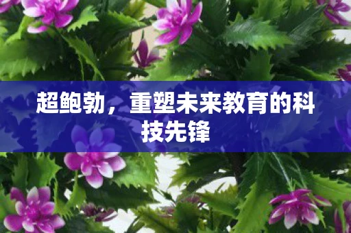 超鲍勃，重塑未来教育的科技先锋