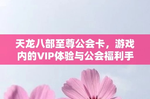 游戏内的VIP体验与公会福利手册图片