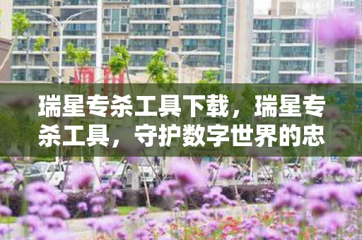 瑞星专杀工具下载，瑞星专杀工具，守护数字世界的忠诚卫士