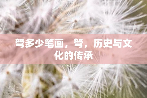 弩多少笔画，弩，历史与文化的传承