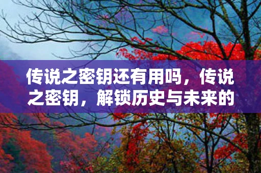 传说之密钥还有用吗，传说之密钥，解锁历史与未来的神秘符号