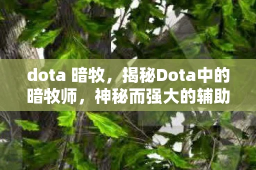 dota 暗牧，揭秘Dota中的暗牧师，神秘而强大的辅助英雄