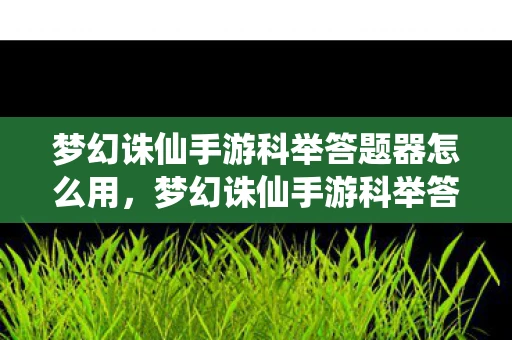 梦幻诛仙手游科举答题器怎么用，梦幻诛仙手游科举答题器，助你轻松应对科举挑战