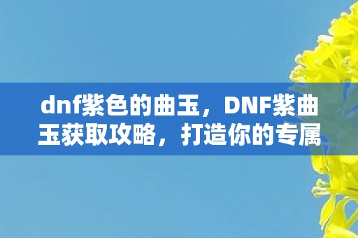 dnf紫色的曲玉，DNF紫曲玉获取攻略，打造你的专属神器