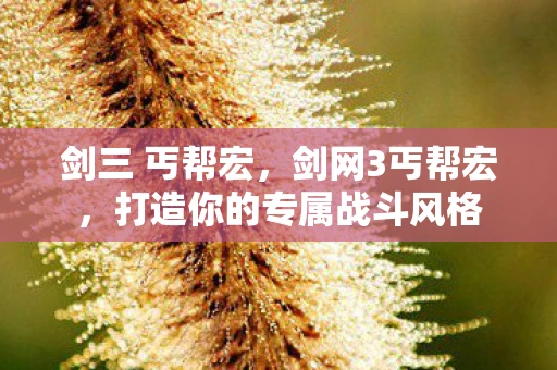 剑三 丐帮宏，剑网3丐帮宏，打造你的专属战斗风格