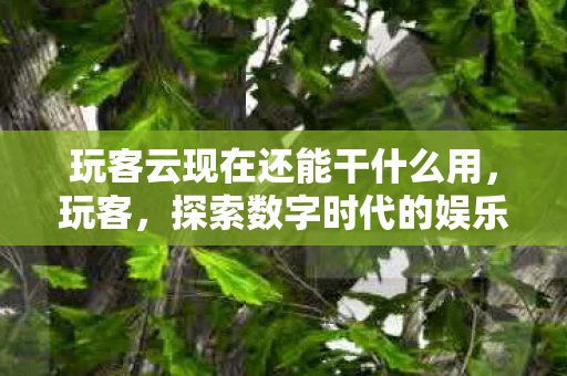 玩客云现在还能干什么用，玩客，探索数字时代的娱乐新生态