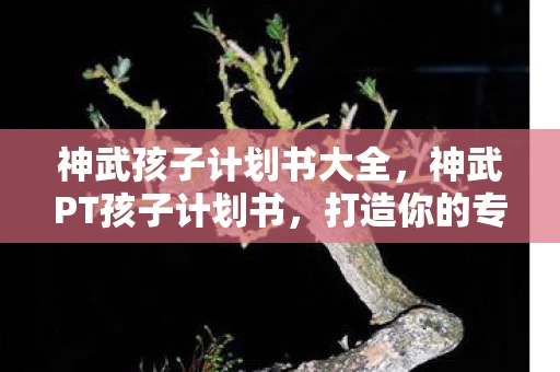 神武孩子计划书大全，神武PT孩子计划书，打造你的专属战斗伙伴