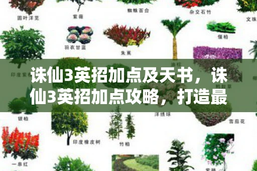 诛仙3英招加点及天书，诛仙3英招加点攻略，打造最强战斗力的关键