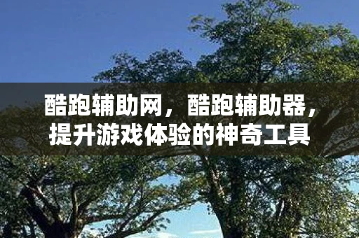 酷跑辅助网，酷跑辅助器，提升游戏体验的神奇工具