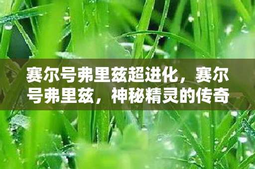 赛尔号弗里兹超进化，赛尔号弗里兹，神秘精灵的传奇故事
