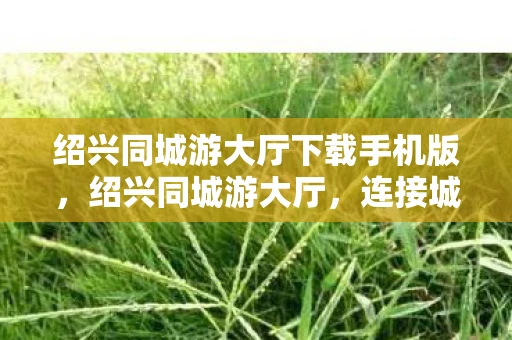 绍兴同城游大厅下载手机版，绍兴同城游大厅，连接城市生活的数字桥梁