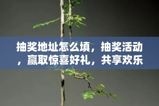 抽奖地址怎么填，抽奖活动，赢取惊喜好礼，共享欢乐时刻！