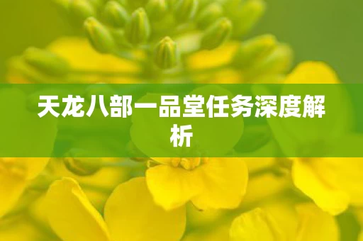 天龙八部一品堂任务深度解析图片