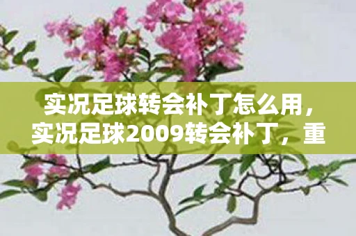 实况足球转会补丁怎么用，实况足球2009转会补丁，重温经典，打造梦幻阵容