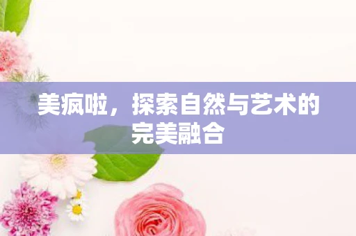 美疯啦，探索自然与艺术的完美融合