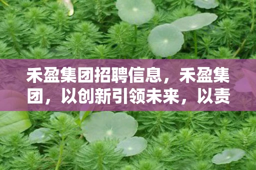 禾盈集团招聘信息，禾盈集团，以创新引领未来，以责任铸就辉煌