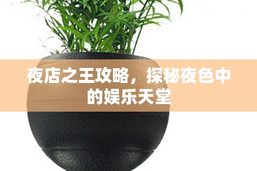探秘夜色中的娱乐天堂图片