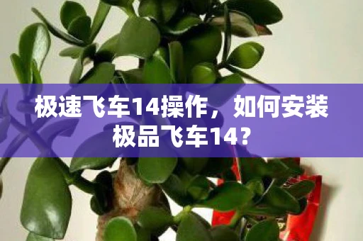 极速飞车14操作，如何安装极品飞车14？