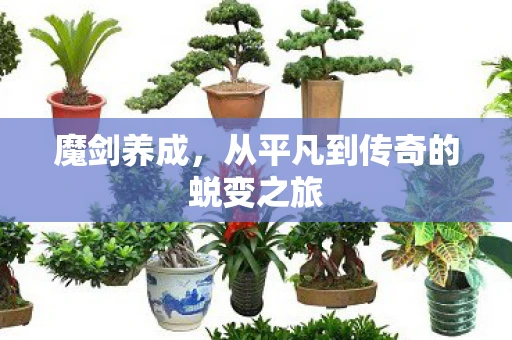 魔剑养成，从平凡到传奇的蜕变之旅