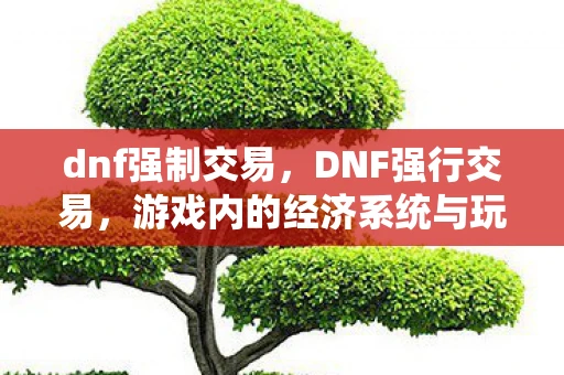 dnf强制交易，DNF强行交易，游戏内的经济系统与玩家行为的博弈