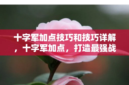 十字军加点技巧和技巧详解，十字军加点，打造最强战斗力的关键