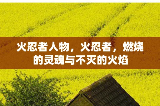 火忍者人物，火忍者，燃烧的灵魂与不灭的火焰