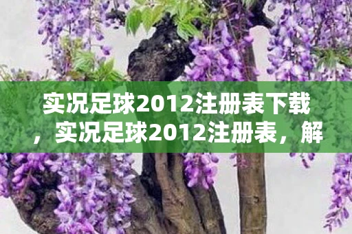 实况足球2012注册表下载，实况足球2012注册表，解锁隐藏功能，提升游戏体验
