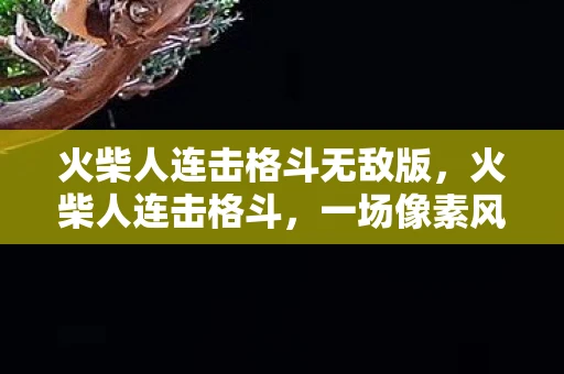 火柴人连击格斗无敌版，火柴人连击格斗，一场像素风中的热血战斗