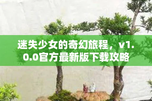 0官方最新版下载攻略图片