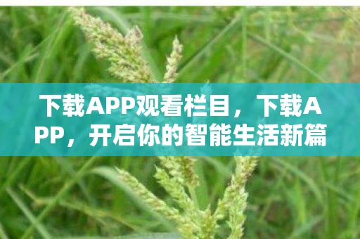 下载APP观看栏目，下载APP，开启你的智能生活新篇章