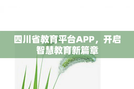 四川省教育平台APP，开启智慧教育新篇章