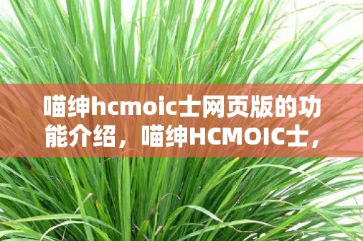 喵绅hcmoic士网页版的功能介绍，喵绅HCMOIC士，探索数字时代的文化新境界