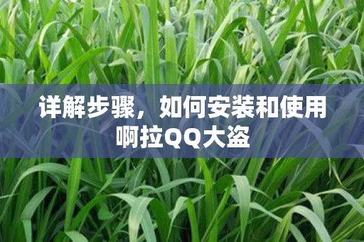 如何安装和使用啊拉QQ大盗图片