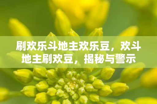 刷欢乐斗地主欢乐豆，欢斗地主刷欢豆，揭秘与警示