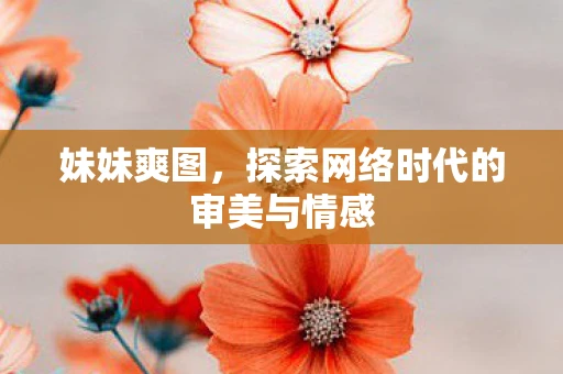 妹妹爽图，探索网络时代的审美与情感