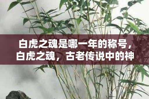 白虎之魂是哪一年的称号，白虎之魂，古老传说中的神秘力量