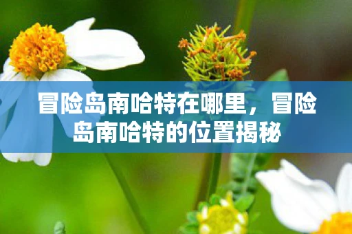 冒险岛南哈特在哪里，冒险岛南哈特的位置揭秘