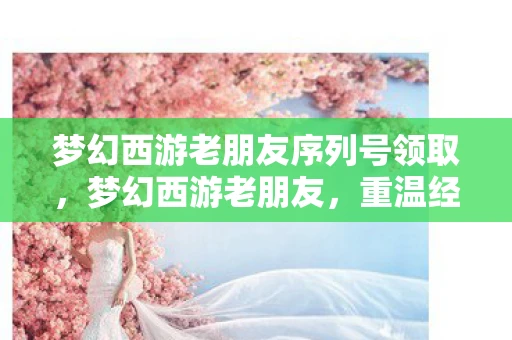 梦幻西游老朋友序列号领取，梦幻西游老朋友，重温经典，再续前缘