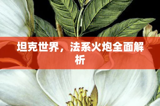 法系火炮全面解析图片