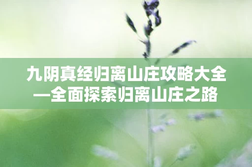九阴真经归离山庄攻略大全图片
