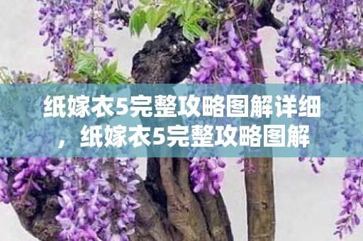 纸嫁衣5完整攻略图解详细,纸嫁衣5完整攻略图解 纸嫁衣5完整攻略图解详细,纸嫁衣5完整攻略图解