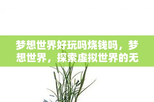 梦想世界好玩吗烧钱吗,梦想世界,探索虚拟世界的无限乐趣 梦想世界好玩吗烧钱吗,梦想世界,探索虚拟世界的无限乐趣