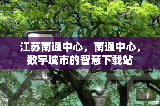 江苏南通中心，南通中心，数字城市的智慧下载站